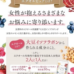 【新品】エクオール 乳酸菌 サプリ 30日分 ビタミンB12 アグリコン型 イソフラボンの画像