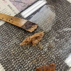 5回講座　漆職人の金継ぎワークショップ（9/12,9/19,10/3,10/10,10/17,予備日10/24）の画像