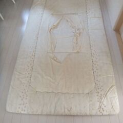 配送しません　直接取引のみ　花柄 シングル掛け布団敷布団セット ダメージありの画像