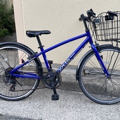 2023 ブリヂストン 子供用自転車SCHLEIN（シュライン） 24インチの画像