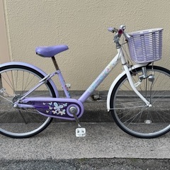 2021 ブリヂストン 子ども用自転車 ECOPAL（エコパル） 24インチ 変速なしの画像