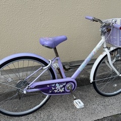 2021 ブリヂストン 子ども用自転車 ECOPAL（エコパル） 24インチ 変速なしの画像