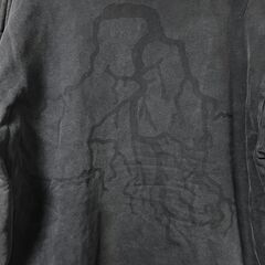 RAF SIMONS 2002-2003 A/W Virginia Creeper期  パーカーの画像