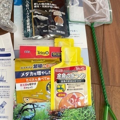メダカ飼育セットの画像