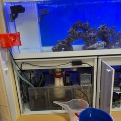 海水魚水槽セット 飼育 魚 濾過材 ハリセンボン スキマー 殺菌灯 台 ポンプ ライブロック 餌の画像