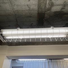 【12個セット】蛍光灯/LED器具用ガード パナソニック FK42533  40形 FHF32形/FLR FL40 290幅の画像