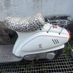 スズキ　欄　原付の画像
