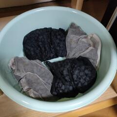 アクアリウム　外部フィルター　の画像