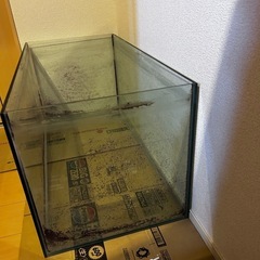 90cm水槽の画像