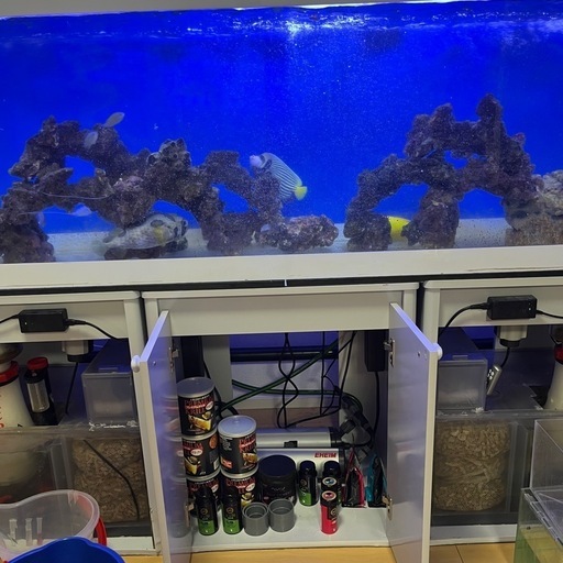 巨大水槽 240cm 60cm 45cm 水槽台 ポンプ スキマー