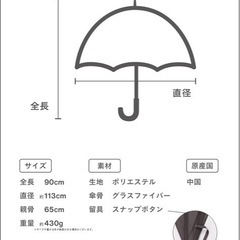日傘 a.s.s.a  大きい65cmの画像