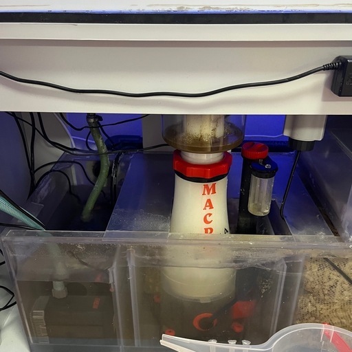 お魚飼育セット 魚 大きい アクリル水槽 ショップ