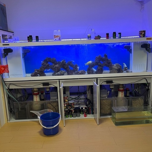 お魚飼育セット 魚 大きい アクリル水槽 ショップ
