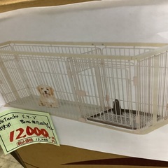 未使用 Petnniko 犬 ケージ 幅146奥行68高さ70cm 管A250815AK (ベストバイ 静岡県袋井市)の画像