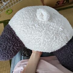 GELATO　PIQUEの画像