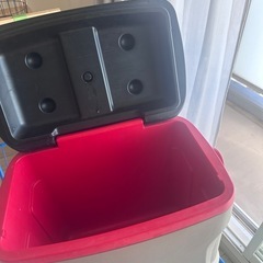 沢山の問い合わせありがとうございました。IGLOO クーラーボックスの画像