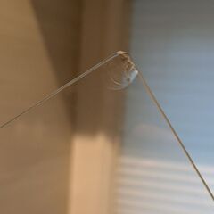 コレクションケース　ガラスの画像