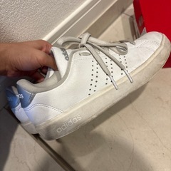 adidas スニーカー　レディース　　23.5センチの画像