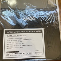 SAVAS 　SnowMan 岩本照　クリアファイル　非売品　100枚の画像