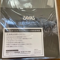 SAVAS 　SnowMan 岩本照　クリアファイル　非売品　20枚の画像