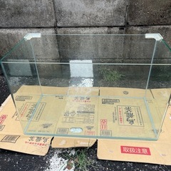 ニッソー水槽台とコトブキ前面アール曲面60cmガラス水槽その他オマケ付き‼️の画像
