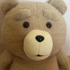 テッド　ぬいぐるみの画像