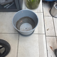 無料　三つ植木鉢　IKEAの画像