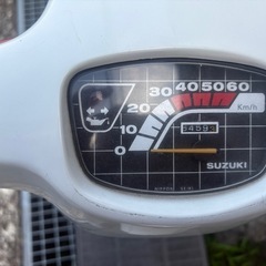 スズキ欄の画像