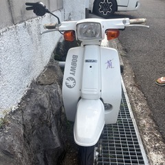 スズキ欄の画像