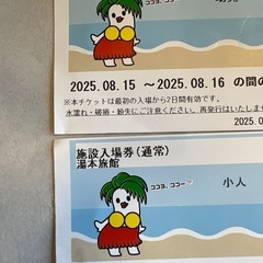 ハワイアンズチケット8月16日限定の画像