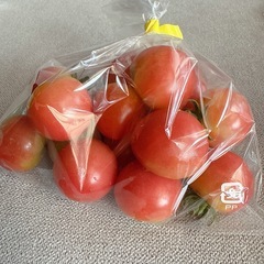 【本日限定】無農薬　野菜セットの画像