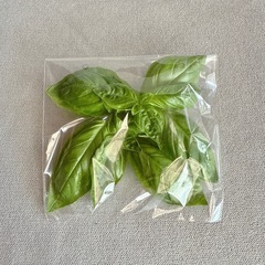 【本日限定】無農薬　野菜セットの画像