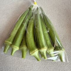 【本日限定】無農薬　野菜セットの画像
