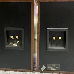 DL4 Celebration スピーカー ペアの画像