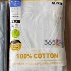 グンゼVネックTシャツ　3L ロングトランクス4L　6枚セットの画像