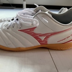 フットサルシューズの画像