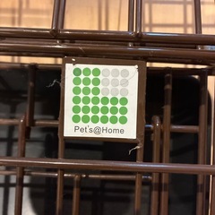 スチール製犬小屋の画像