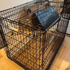 大型犬用スチール製犬小屋の画像