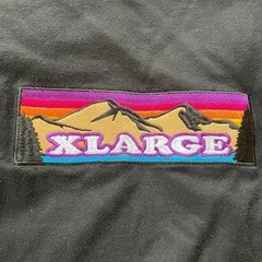 ＸラージロングT shirtの画像