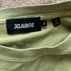 ＸラージロングTシャツの画像