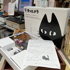 明星チャルメラ懸賞品すずネコリカちゃん ｜ 愛品館千葉店の画像