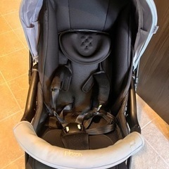 ピジョン ランフィリノン RB4L 2024年モデルの画像