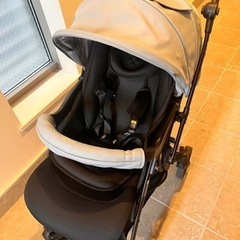 ピジョン ランフィリノン RB4L 2024年モデルの画像
