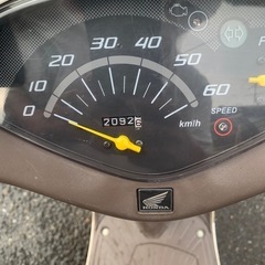 実働DIOチェスタの画像