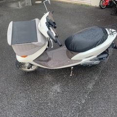 実働DIOチェスタの画像