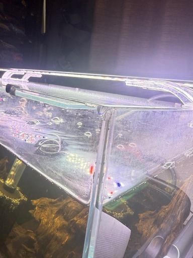 ADA 45cm水槽