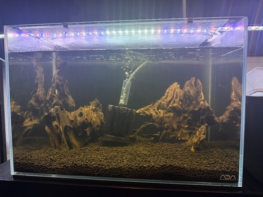 ADA 45cm水槽