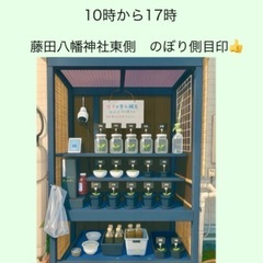 めだか無人販売　 8月16日　17日