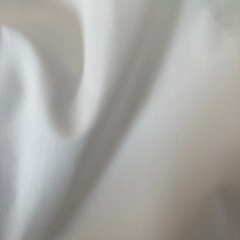 紳士用Yシャツの画像