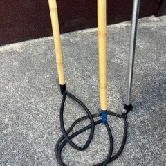 モリ魚突きの画像